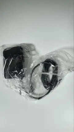 softbank ACアダプタ KYCAV充電器Type-C