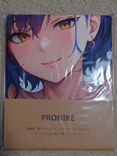 新品未開封★大バスタオル★タペストリー★ポスター★サイズ105×55cm