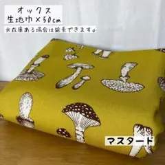 《オックス》デッサン風きのこ マスタード 線描き風 キノコ