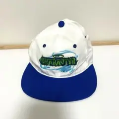 帽子 coinparkingdelivery CPD\"eNrOll\" cap 2025年最新】Coin parking delivery キャップの人気アイテム