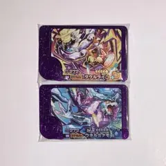 新品　ポケモンフレンダ　テラスタル　タケルライコ　ウネルミナモ