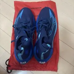 MIZUNO NEO VISTAシューズ 26.5cm