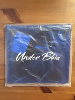 Eve 「Under Blue」くじ　C賞サコッシュポーチ