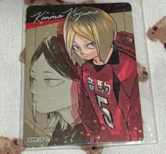 ハイキュー　マグネット　孤爪