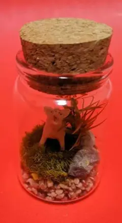 ミニチュアボトル ブタと植物