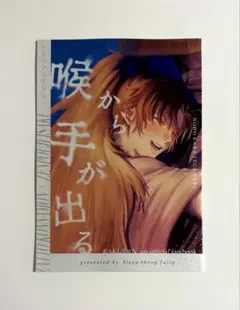 雑伊 同人誌 全年齢