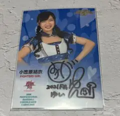 Item thumbnail for item 6dab51bc-af11-4f4c-a19b-e7ab2ae1f7e2