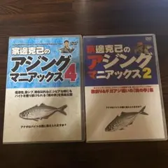 邊家克己のアジングマニアックス2.4
