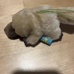 はしっこ　かものはし