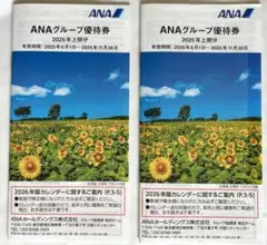 ANAグループ優待券 (2025年上期分)２冊