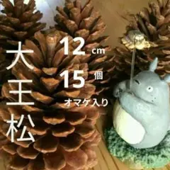 Item thumbnail for item 42254ce5-d19a-4299-9d59-e7daa30b1a53