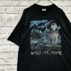 USA製90sヴィンテージTシャツ！シングルステッチ　ブラック半袖古着XL 18