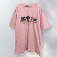 JERZEES ジャージーズ 半袖Tシャツ 綿100% ヴィンテージ ラフ L