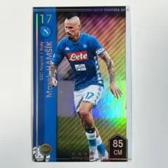 サッカーフットサルユニフォーム　ナポリハムシク ゲームシャツ futstar_2183