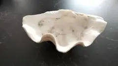 貝殻小物入れ