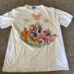 ディズニーリゾート　Tシャツ　Ｌ　TOKYO Disney ドリーミングカラー