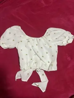 Item thumbnail for item 0a1c6961-327c-4e9e-b910-96d49d212c73