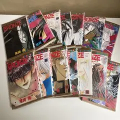 ブロンズ　ＢＲＯＮＺＥ　全巻