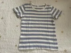 ストライプTシャツ　100