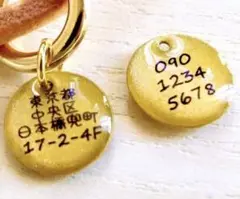 Item thumbnail for item 77ee5c23-b4b9-4eb3-a4a2-0eb11af1112c