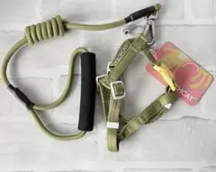 Item thumbnail for item 89cbfa45-70be-40ba-bc95-1de8cdeac65f