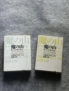魔の山　上下巻セット　新潮文庫