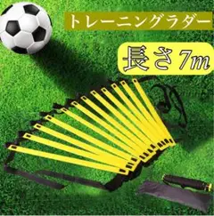 トレーニングラダー 7m 13枚プレート収納袋付き サッカー 陸上