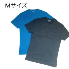 そ　Mサイズ Tシャツ 2枚　半袖 水色　グレー　メンズ