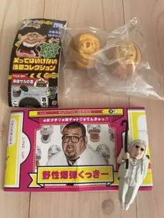 2025年最新】ベンジャミンボーナスの人気アイテム - メルカリ