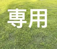 専用