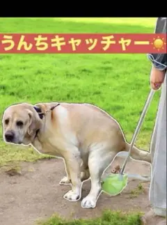 Item thumbnail for item 4af01a55-3499-4de4-8fc8-dfe78b33e602