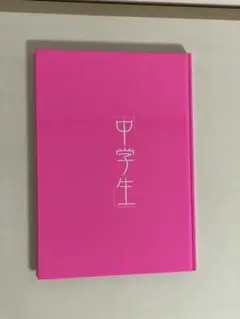 【即日発送/送料込】中学生 白沢あかね 宮澤正明 (大型本)