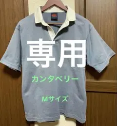 カンダベリー　canterbury ポロシャツ Mサイズ グレー