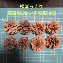 松ぼっくり 直径約5センチ程度 8個/ハンドメイド、リース等に！