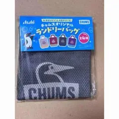 CHUMS メッシュランドリーバッグ グレー