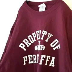 ポート&カンパニー PERRY FFA Tシャツ XL レッド 赤 古着