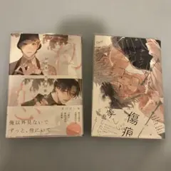 凪がれ星 初恋までの焦点距離 2冊セット