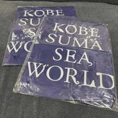 Item thumbnail for item 3c6238b5-77ee-4c8b-8ad9-716296efa865