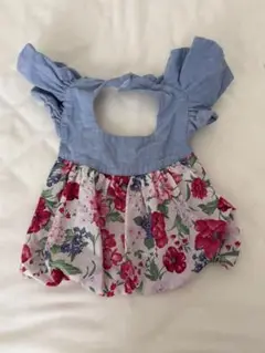 Item thumbnail for item f70b3485-0f49-4431-a311-3c810e3fa7c6