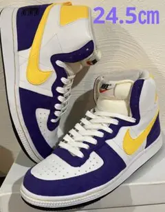 NIKE WMNS TERMINATR HI BASIC 24.5㎝