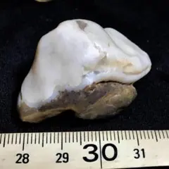 阿拉善戈壁瑪瑙・26g(中国産鉱物標本)
