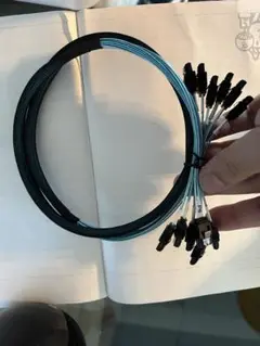 Item thumbnail for item 52ca77a1-5d87-437a-812a-a493778f6f81