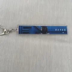 ビジョンキーホルダー レイエス