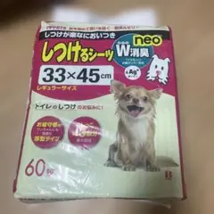 Item thumbnail for item 8e0de2b5-d082-4c91-9e1e-071f41788f20