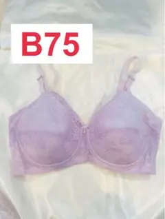 Item thumbnail for item 70fba2f1-e88e-4ef0-9b9d-e57d2747a19f