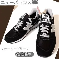 Item thumbnail for item 0a0c26f5-2b27-47e6-8159-a0eb1f4f9b9b