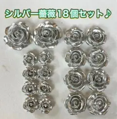 Item thumbnail for item d2abaabe-1ec5-4d36-be53-8b18e5f8ad39