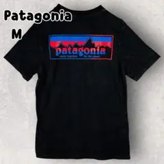 パタゴニア レスポンシビリティ 半袖Tシャツ マウンテンロゴプリント M