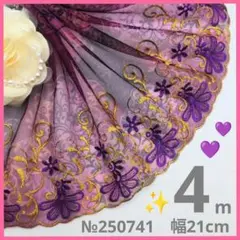 №250741 チュールレース