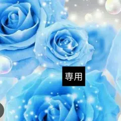 専用